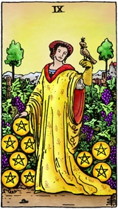 Nine of Pentacles